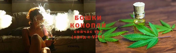 прущие грибы Баксан