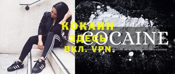 прущие грибы Баксан